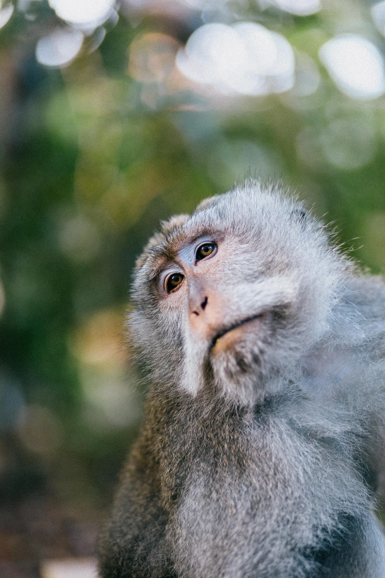 Viaggi — Bali, fotografia 13 di 28