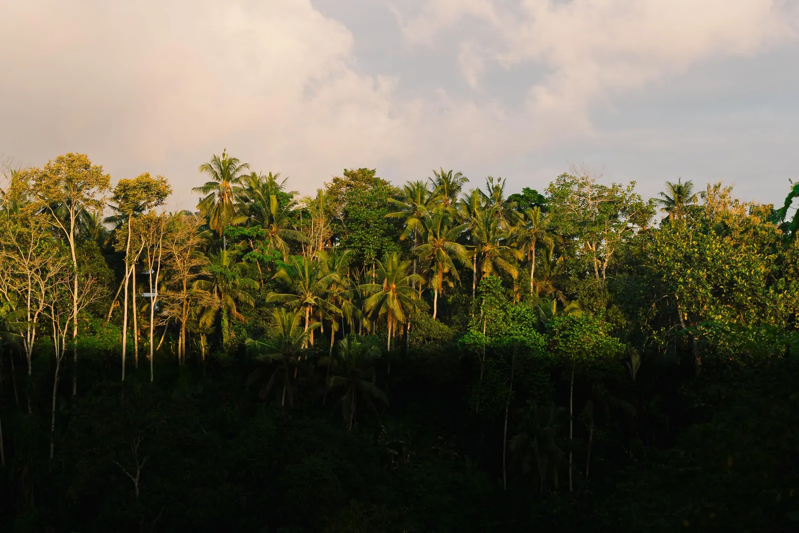 Viaggi — Bali, fotografia 14 di 28