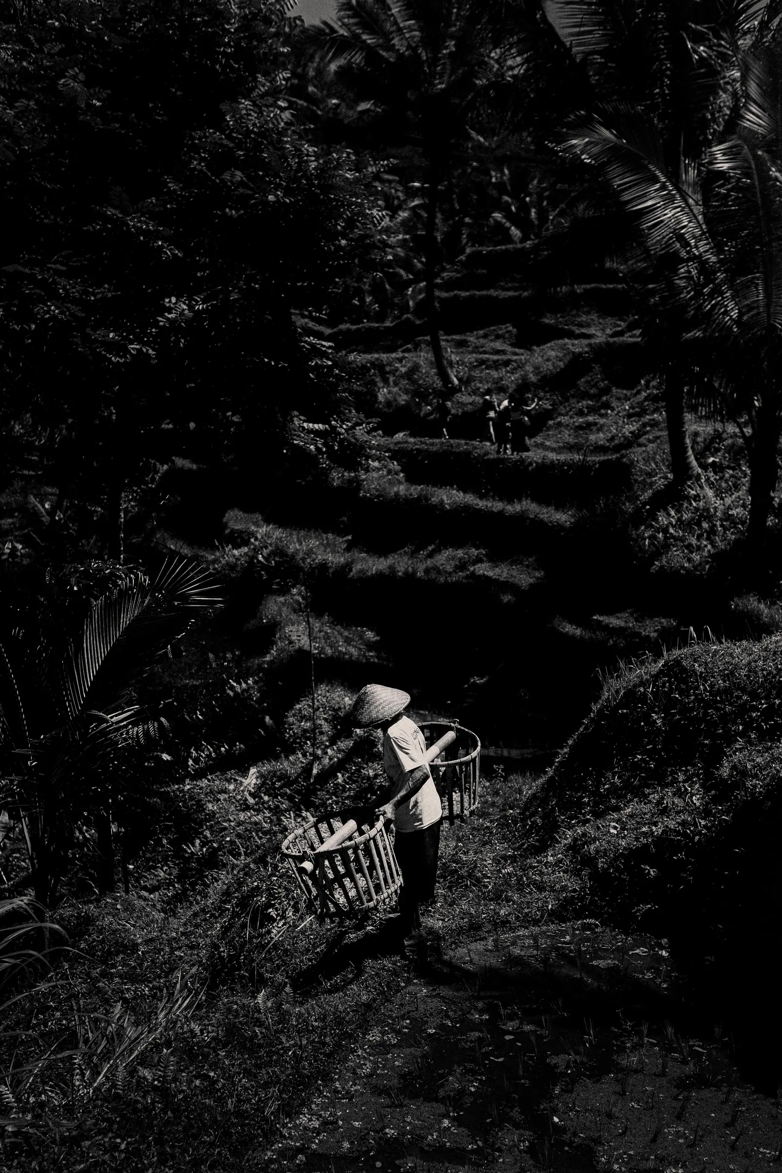 Viaggi — Bali, fotografia 17 di 28