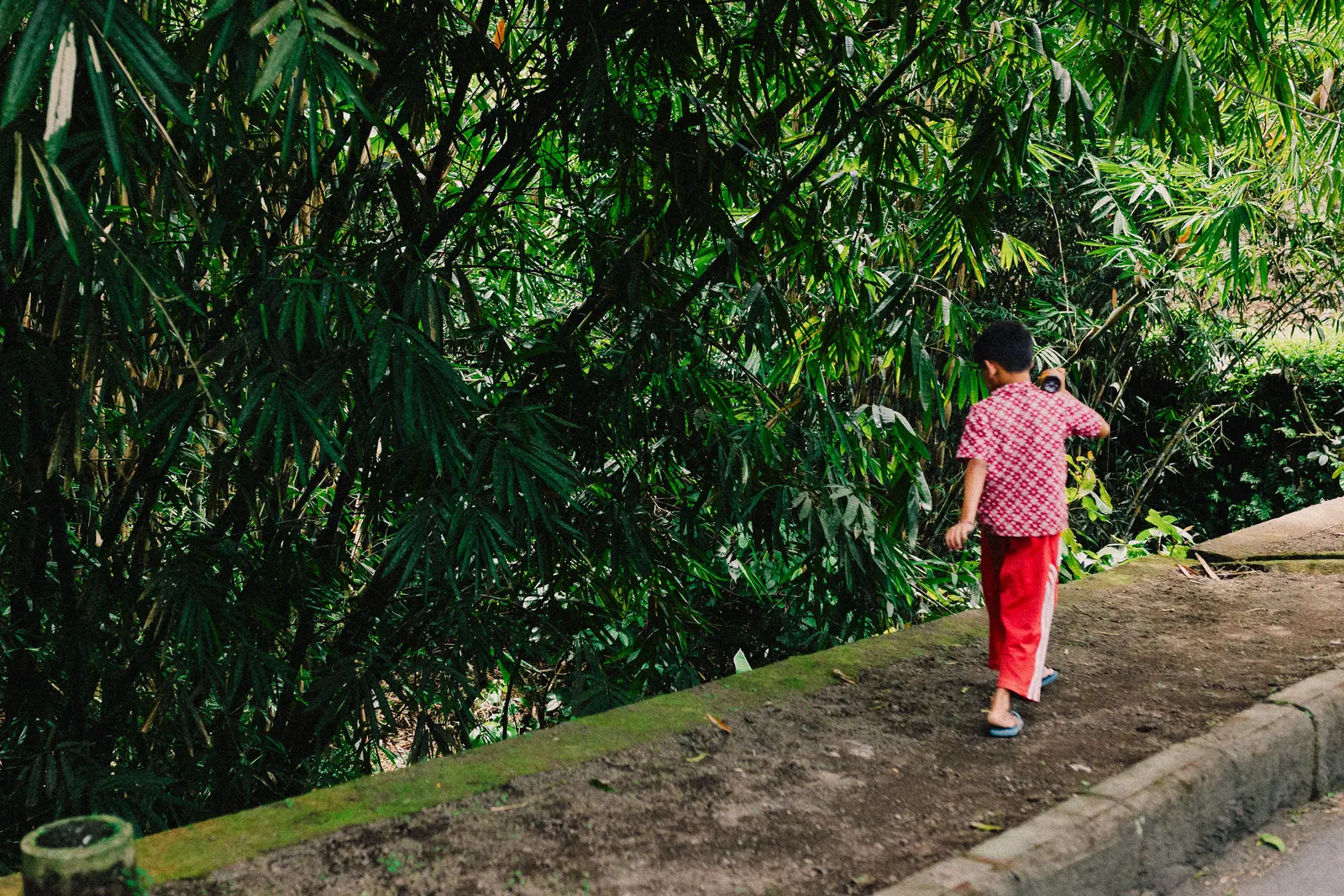 Viaggi — Bali, fotografia 21 di 28