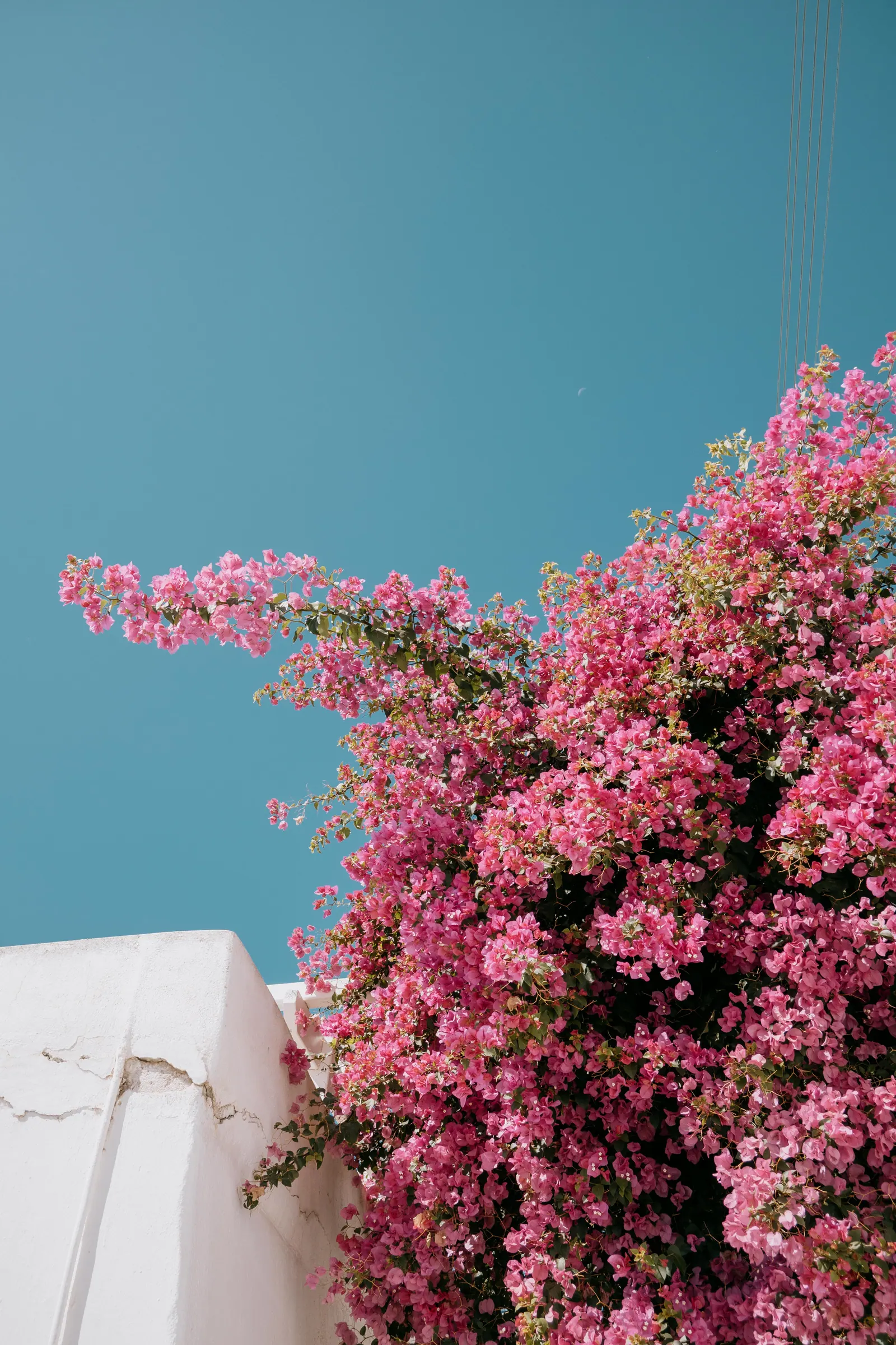 Viaggi — Grecia, fotografia 13 di 30