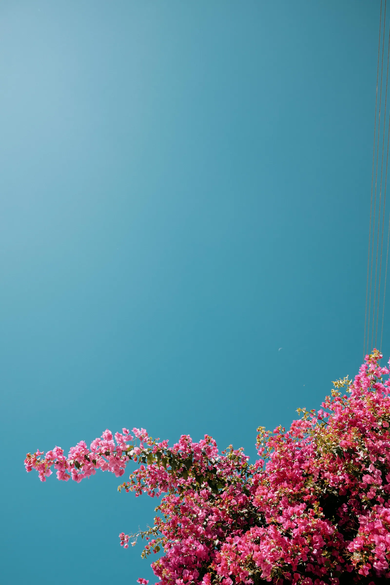 Viaggi — Grecia, fotografia 14 di 30