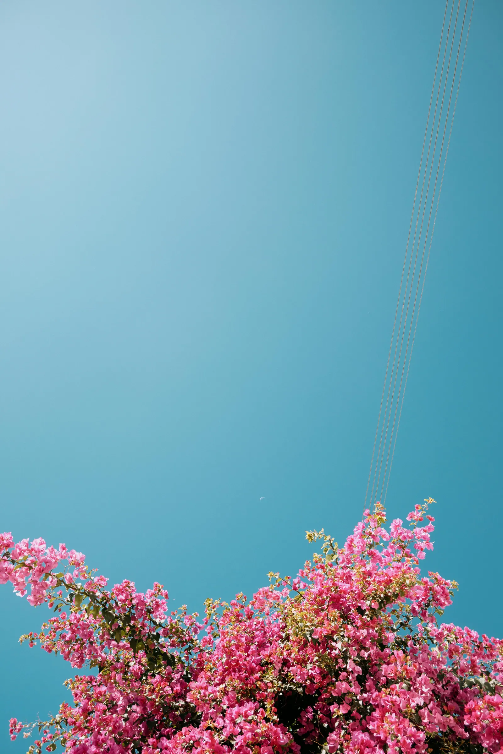 Viaggi — Grecia, fotografia 15 di 30