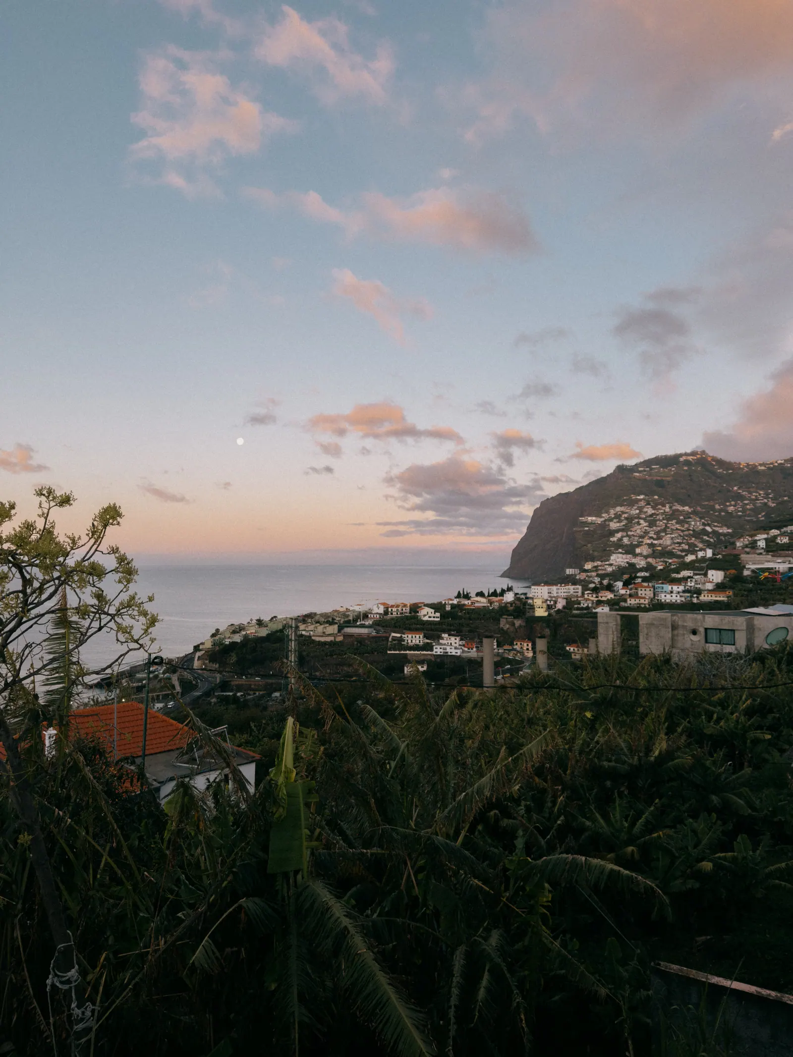Viaggi — Madeira, fotografia 1 di 27