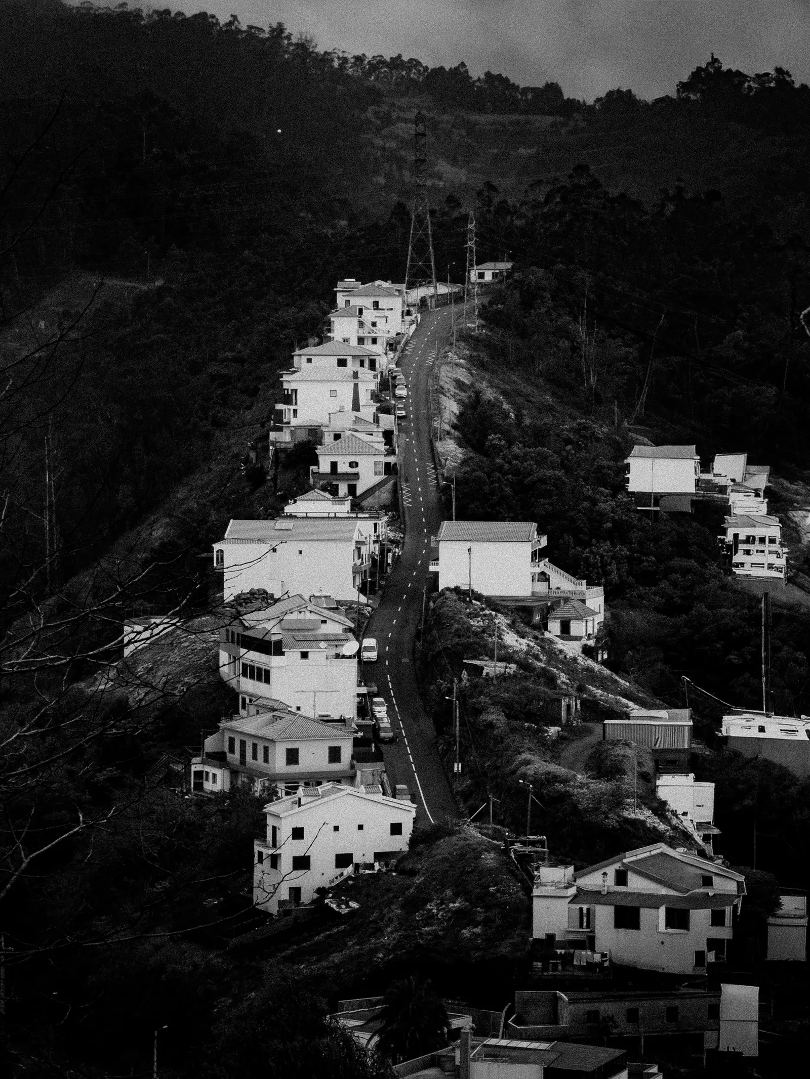 Viaggi — Madeira, fotografia 3 di 27