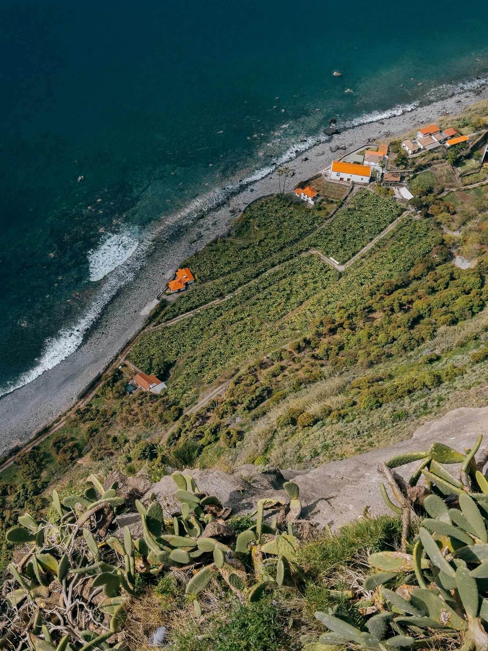 Viaggi — Madeira, fotografia 5 di 27