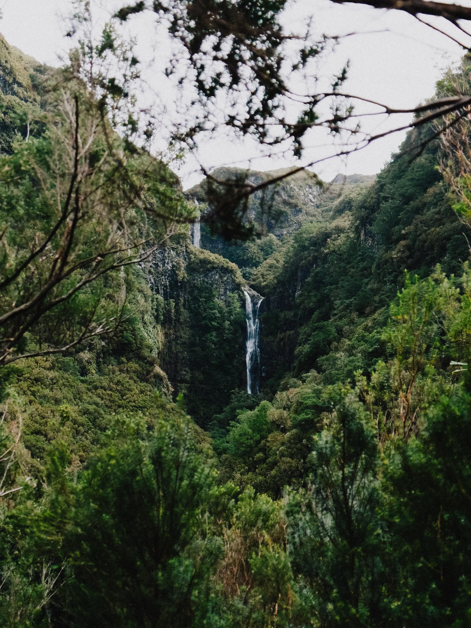 Viaggi — Madeira, fotografia 7 di 27