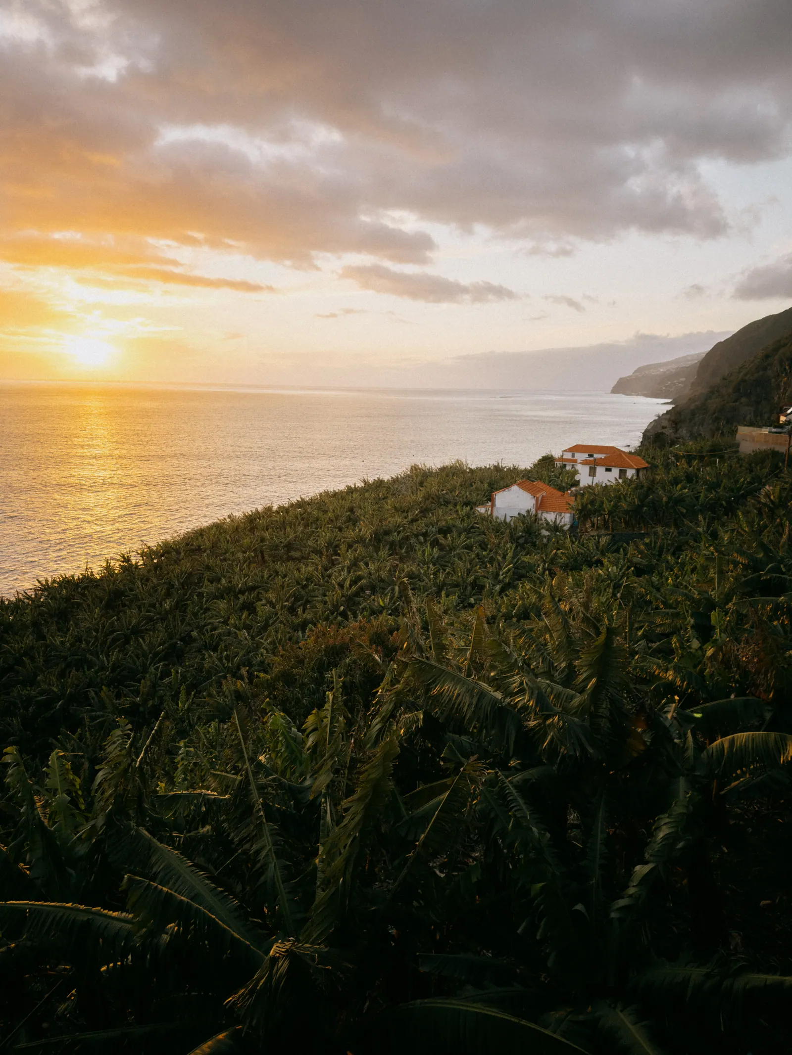 Viaggi — Madeira, fotografia 8 di 27