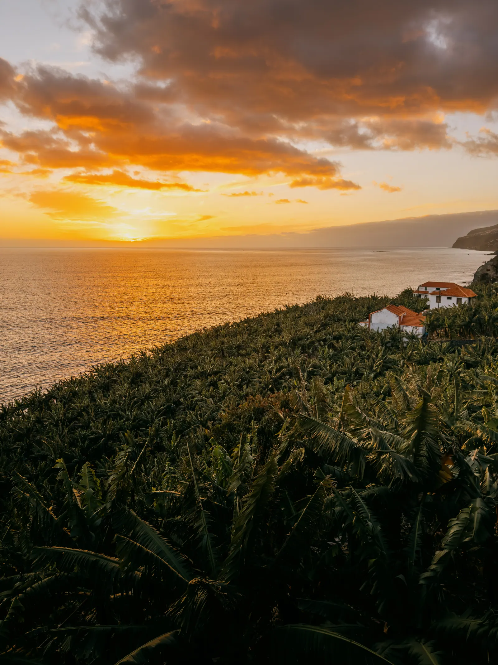 Viaggi — Madeira, fotografia 9 di 27