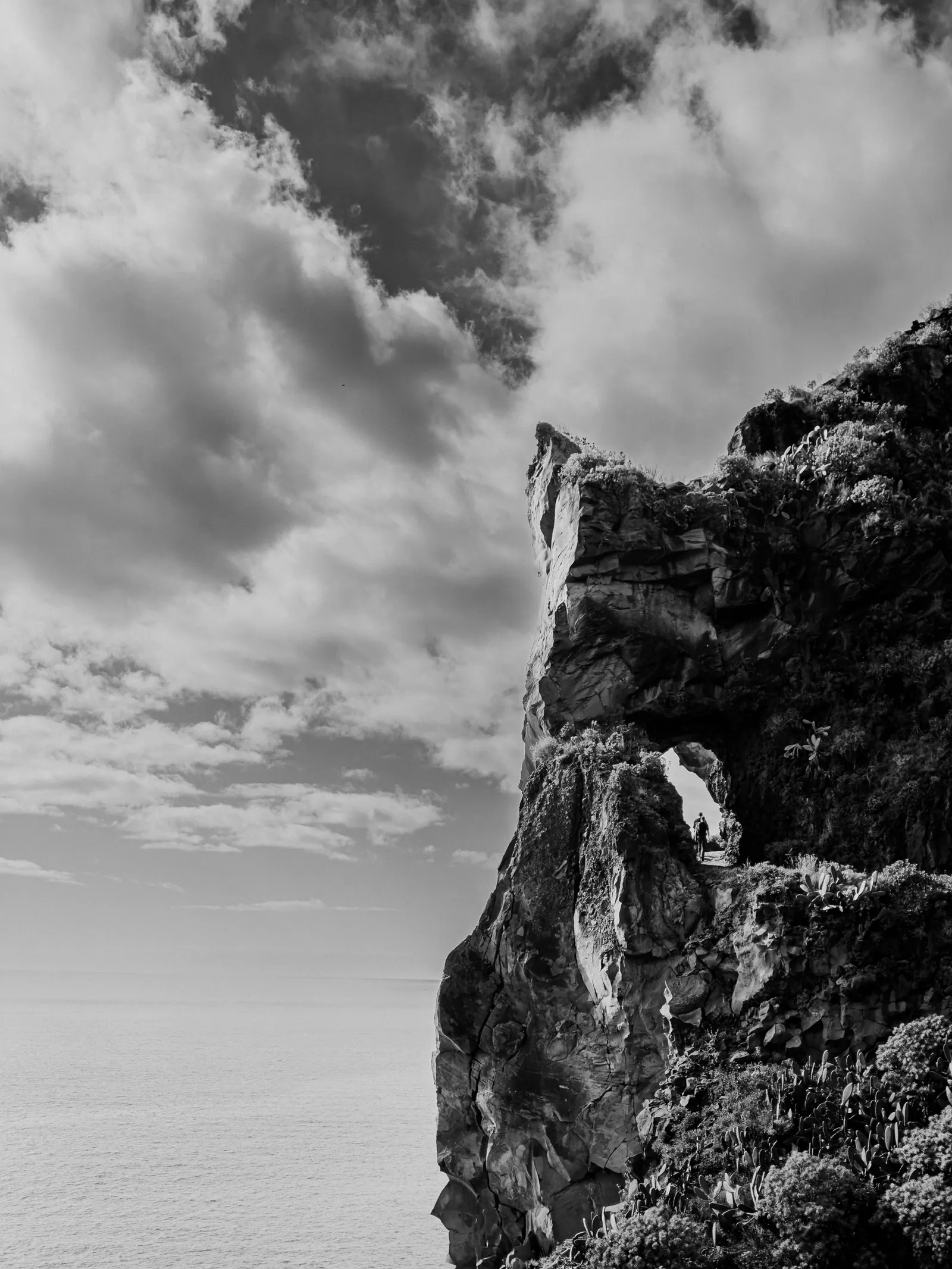 Viaggi — Madeira, fotografia 12 di 27