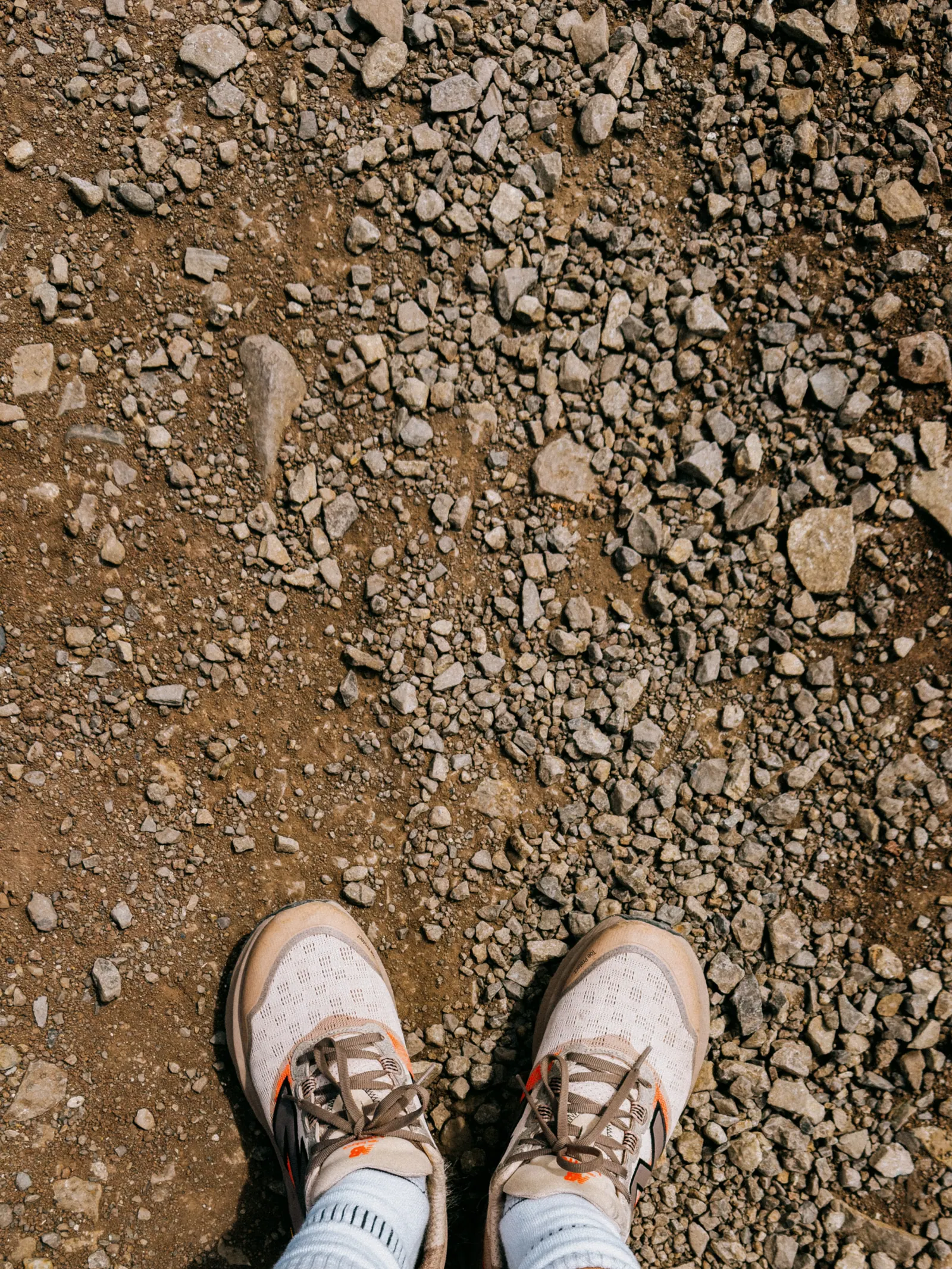 Viaggi — Madeira, fotografia 14 di 27