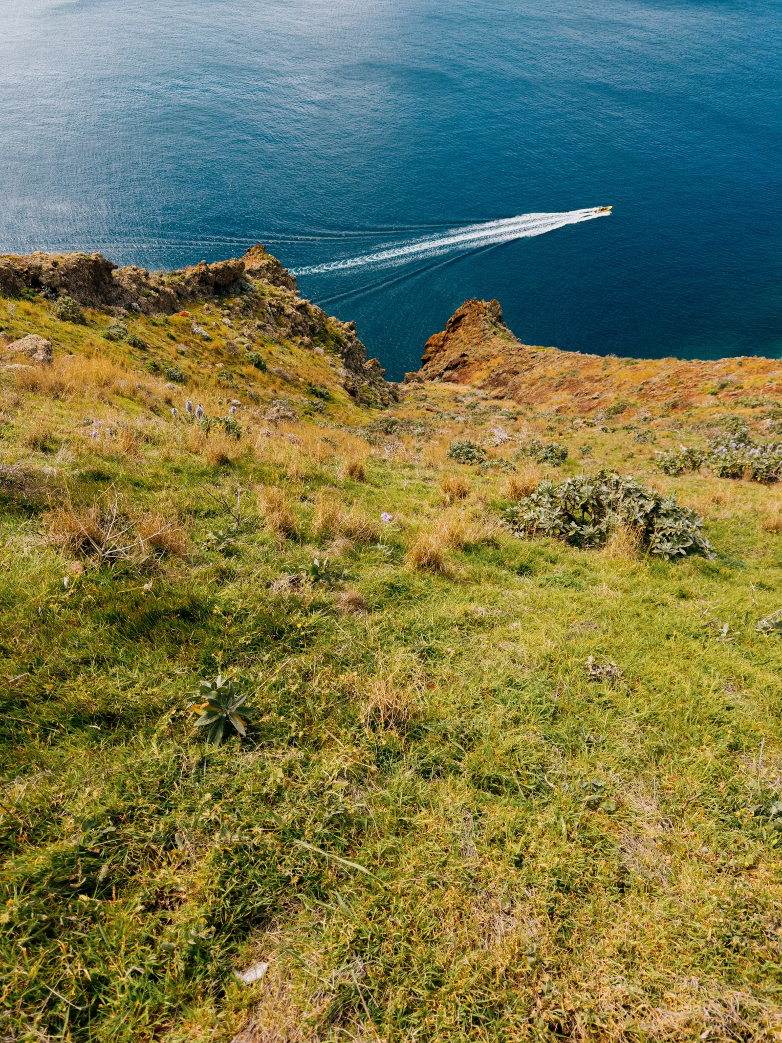 Viaggi — Madeira, fotografia 17 di 27