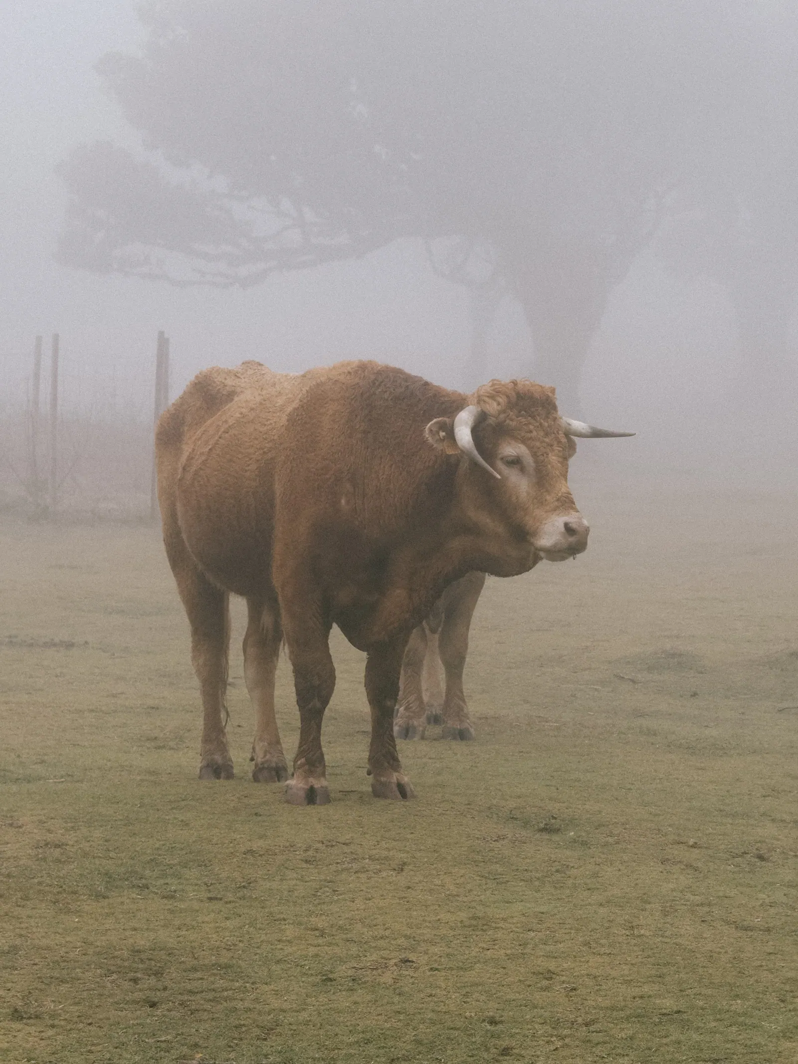 Viaggi — Madeira, fotografia 19 di 27
