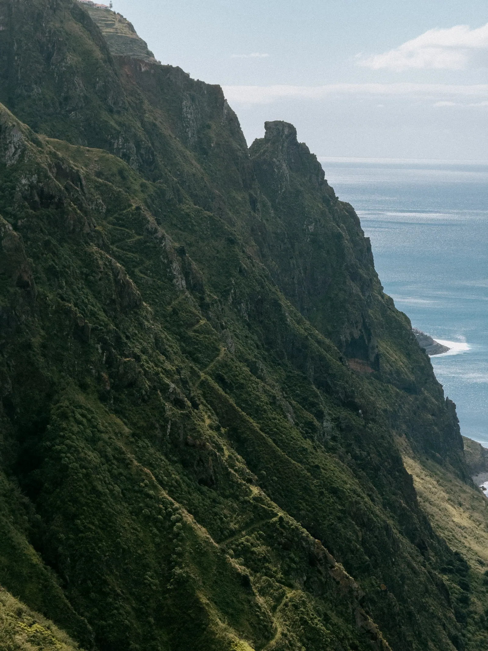 Viaggi — Madeira, fotografia 21 di 27
