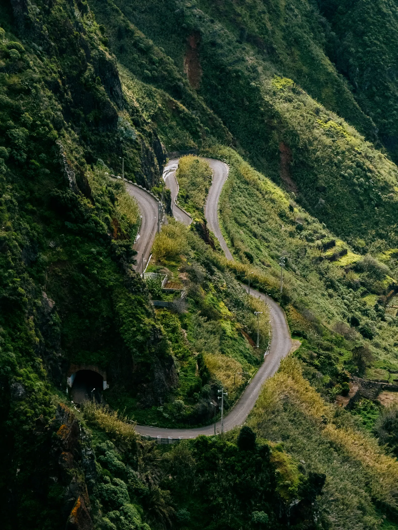 Viaggi — Madeira, fotografia 24 di 27