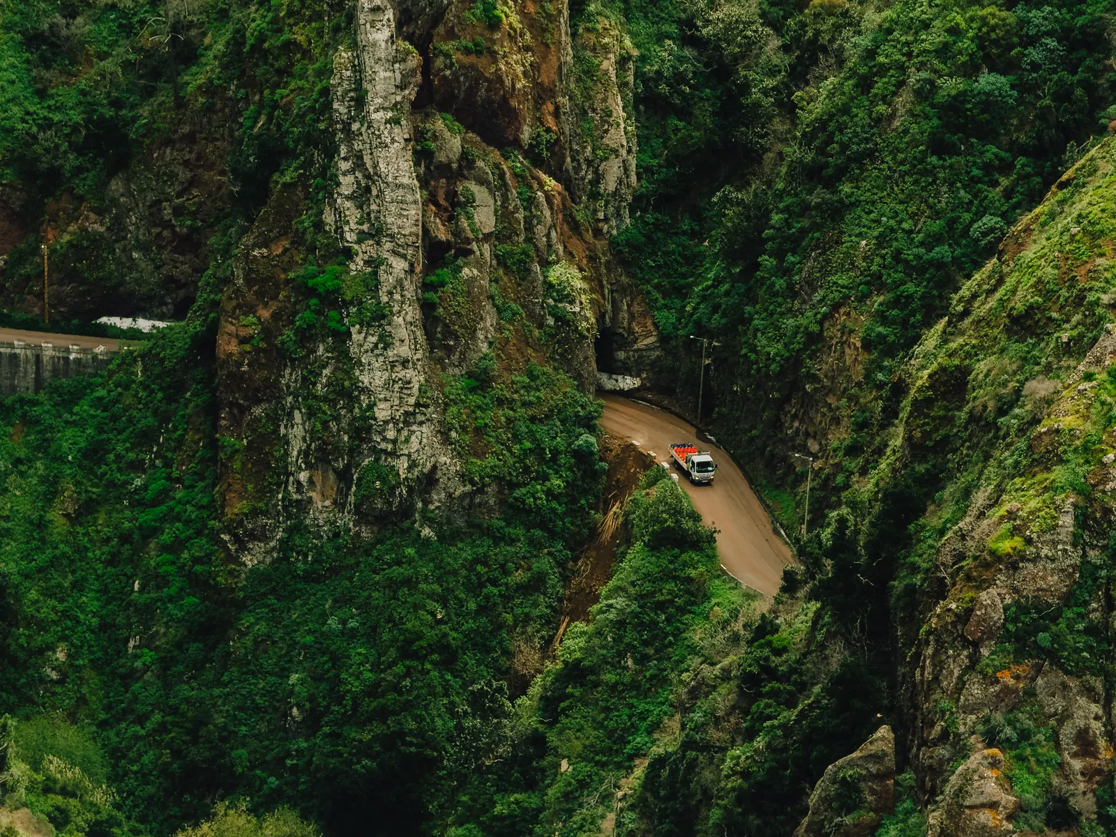 Viaggi — Madeira, fotografia 26 di 27